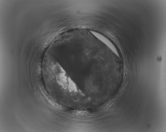 X0000116120401200912071351