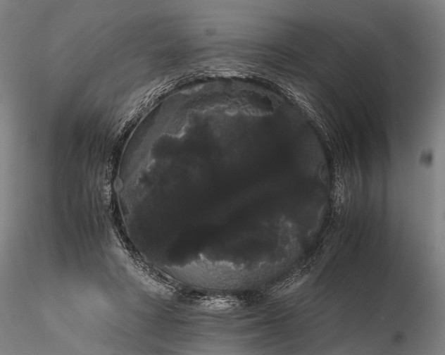 X0000116120402200912071351