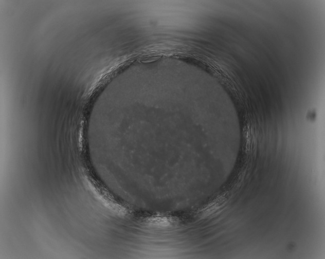 X0000116120404200912071351