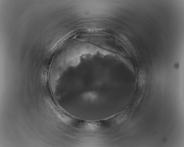 X0000116120405200912071351