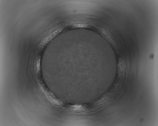 X0000116120406200912071351