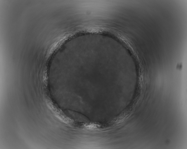 X0000116120407200912071351