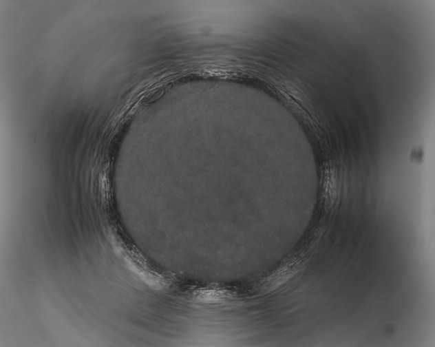 X0000116120408200912071350