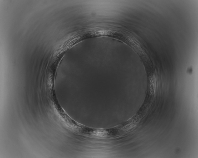 X0000116120410200912071350