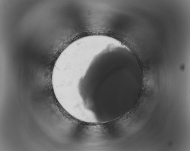 X0000116120411200912071350