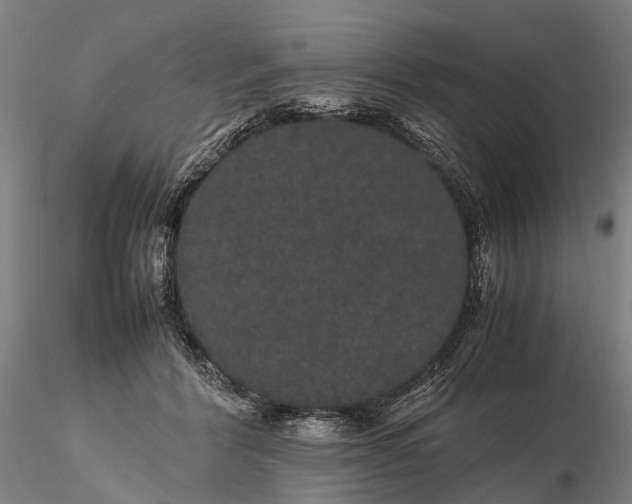 X0000116120412200912071350