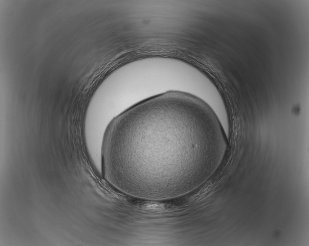 X0000116120413200912071350