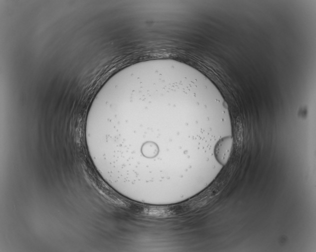 X0000116120414200912071350