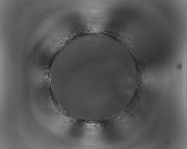 X0000116120415200912071350