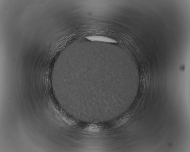 X0000116120416200912071350