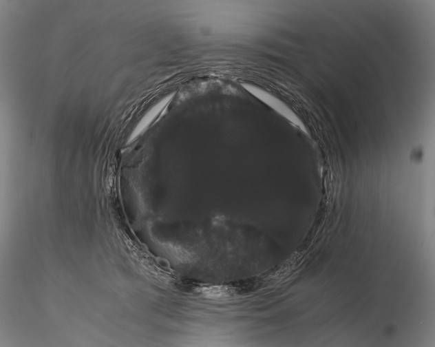 X0000116120417200912071350