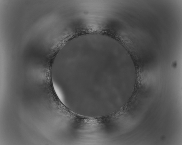 X0000116120419200912071350