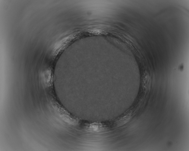 X0000116120420200912071350