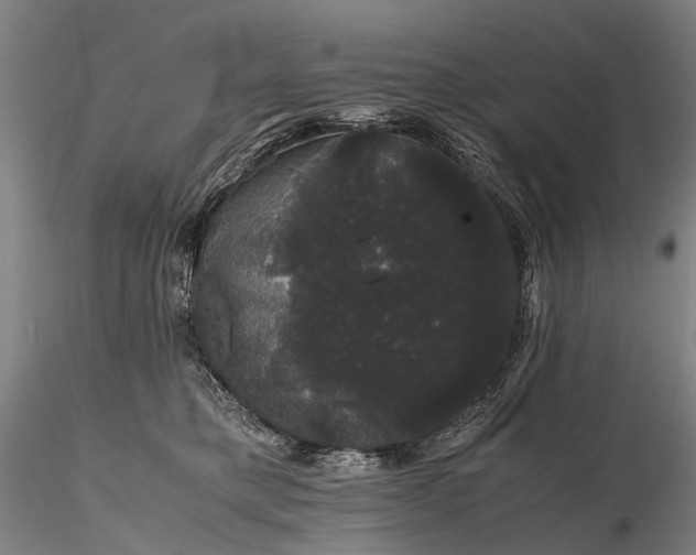 X0000116120421200912071350