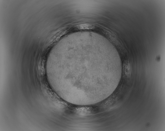 X0000116120422200912071350