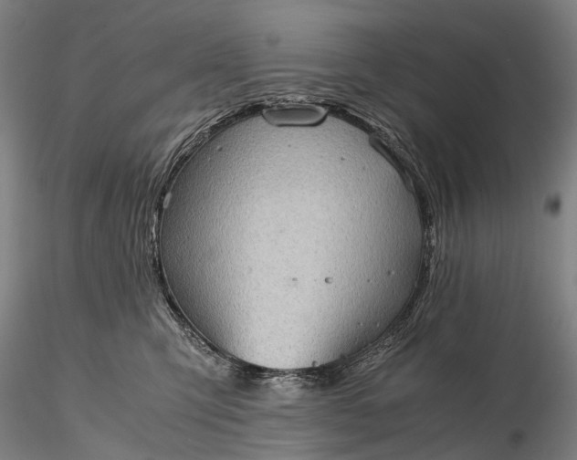 X0000116120423200912071350