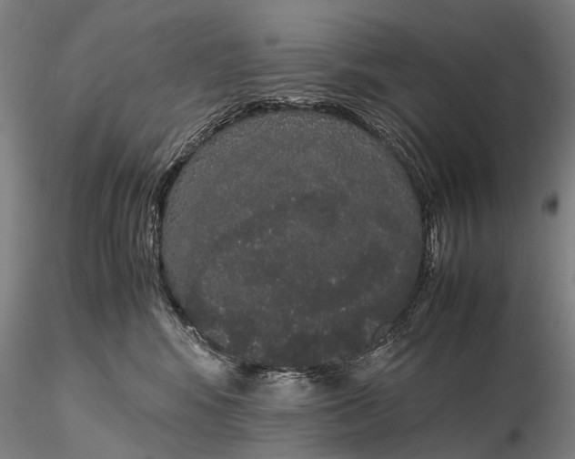 X0000116120424200912071350