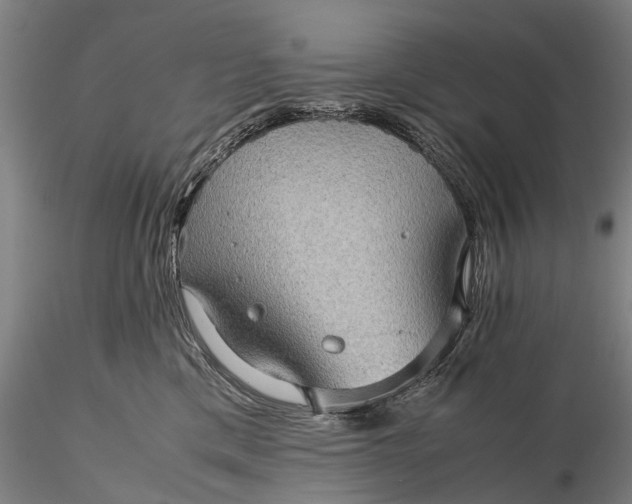 X0000116120425200912071350