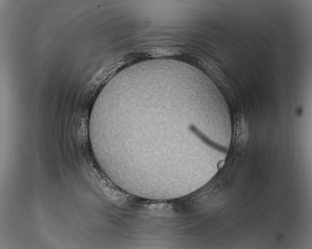 X0000116120426200912071350