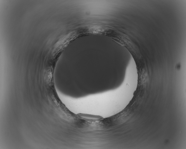 X0000116120427200912071350