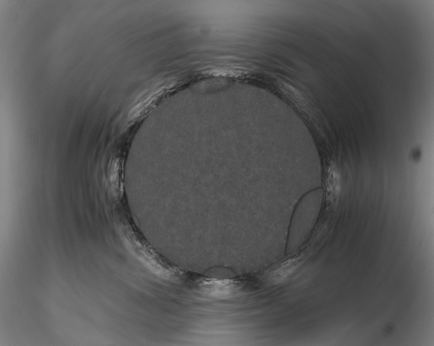 X0000116120428200912071350