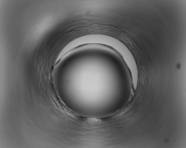 X0000116120429200912071350