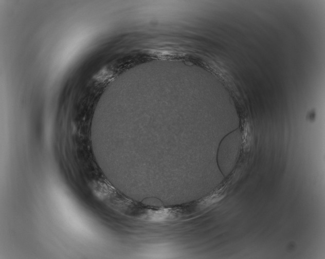 X0000116120430200912071350