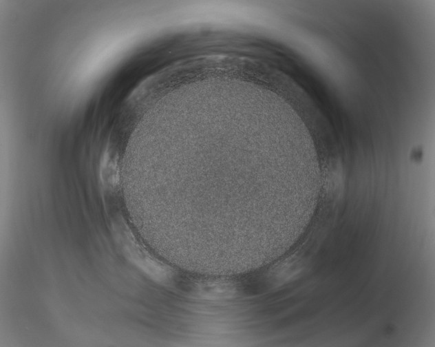 X0000116120431200912071350