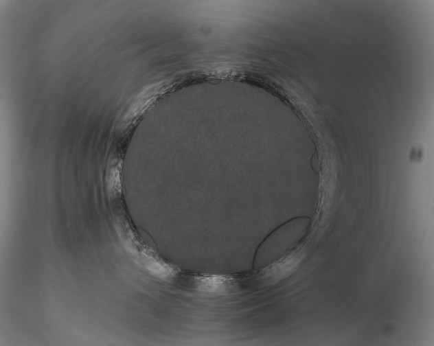 X0000116120432200912071350