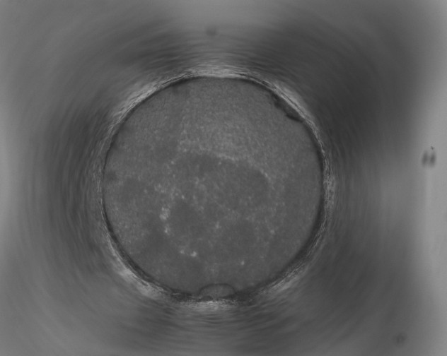 X0000116120433200912071349