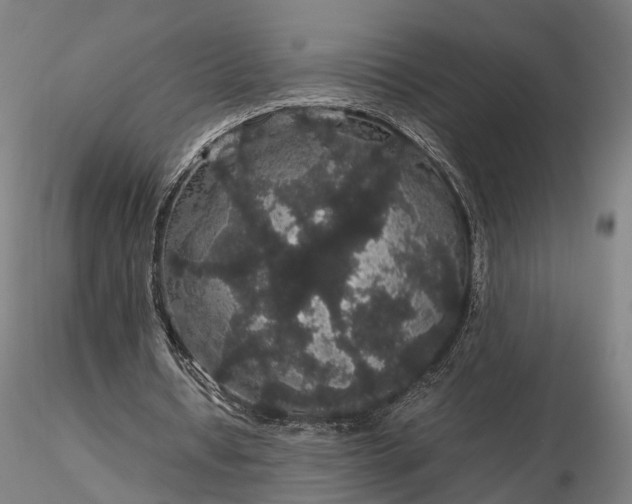 X0000116120434200912071350