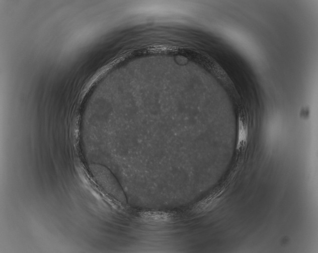 X0000116120435200912071350