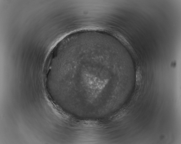 X0000116120436200912071350