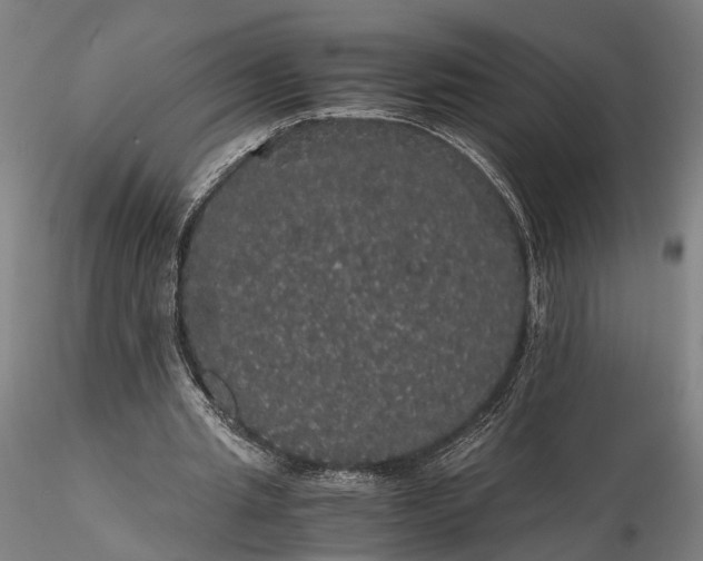 X0000116120437200912071350