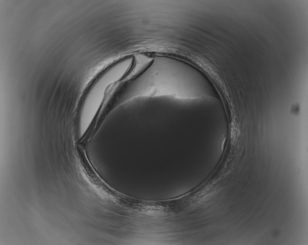 X0000116120438200912071350