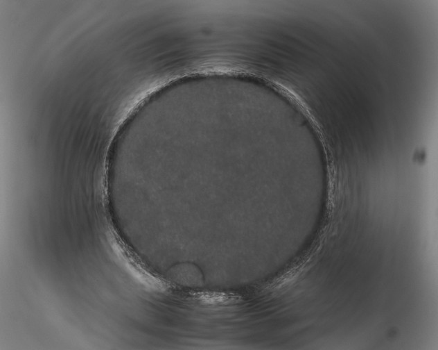 X0000116120439200912071350