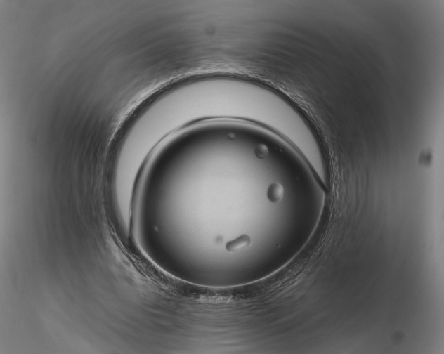 X0000116120440200912071350