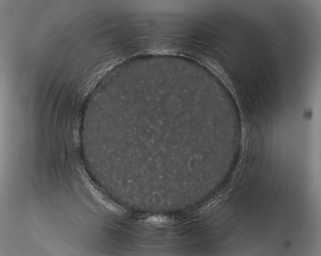 X0000116120441200912071350