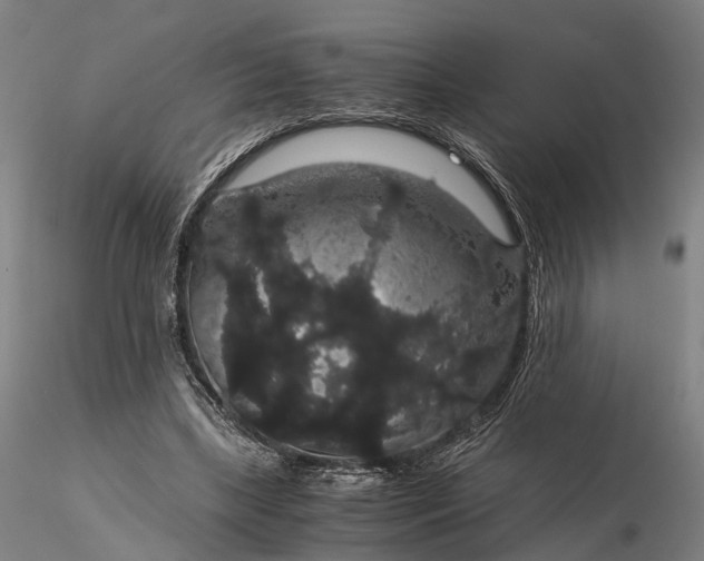 X0000116120443200912071350