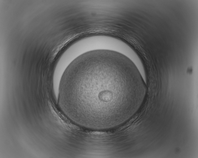 X0000116120444200912071350