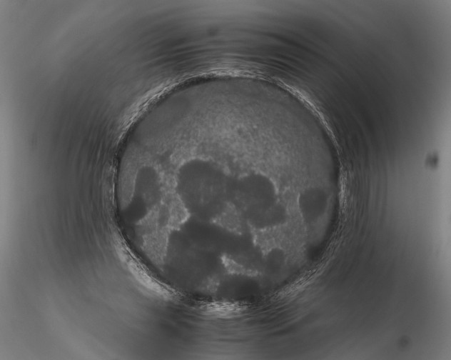 X0000116120445200912071350