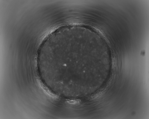 X0000116120447200912071350