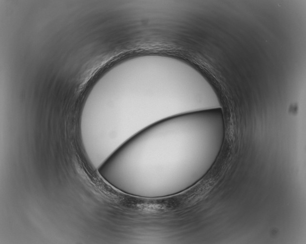 X0000116120448200912071350