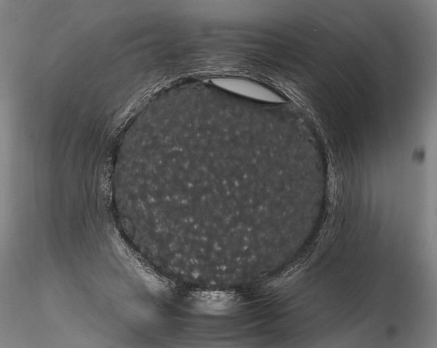 X0000116120449200912071350