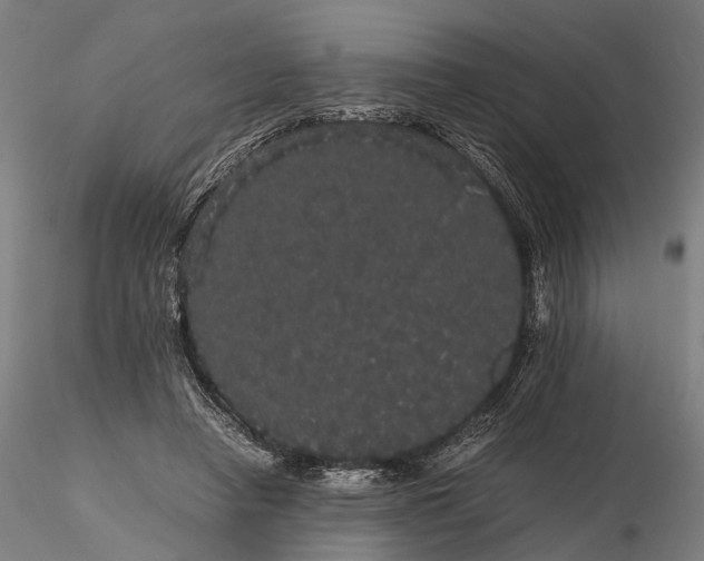 X0000116120450200912071350