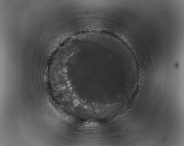 X0000116120451200912071350