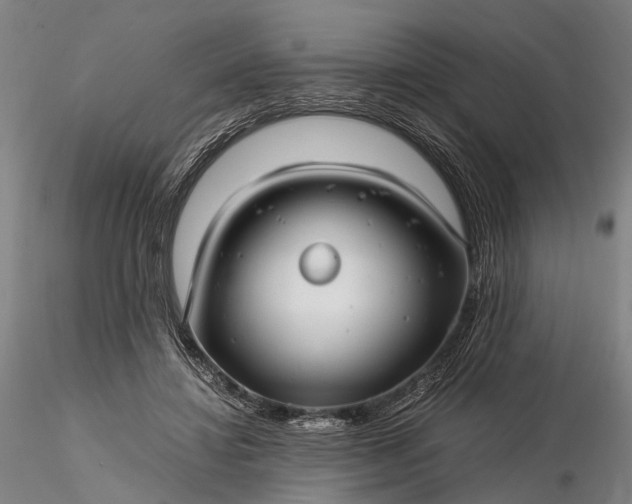 X0000116120452200912071350