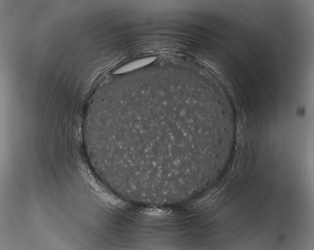 X0000116120453200912071350