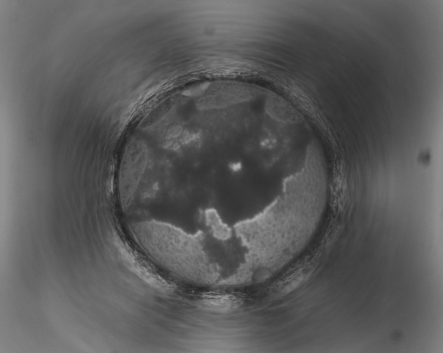 X0000116120454200912071350