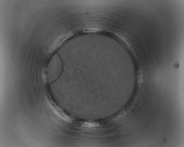 X0000116120455200912071350